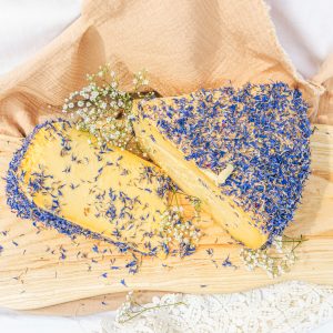 Gouda jersey chaber