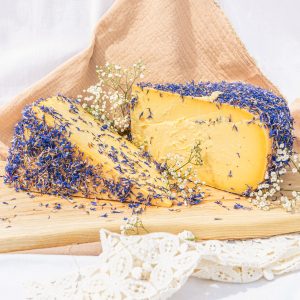 Gouda jersey chaber