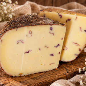 Gouda jersey różana