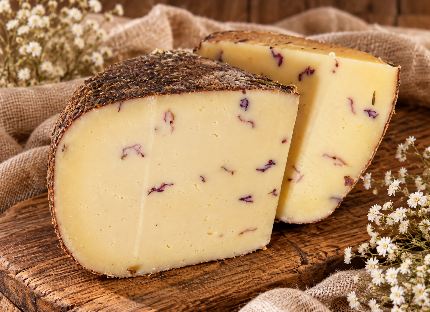 Gouda jersey różana