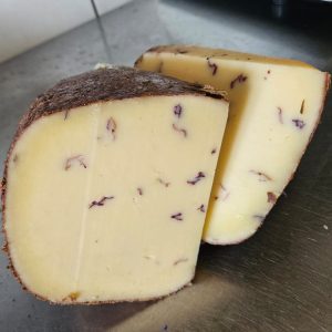 Gouda jersey różana
